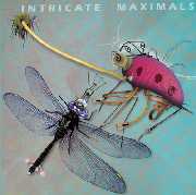 intricate maximals